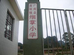 細掌國小