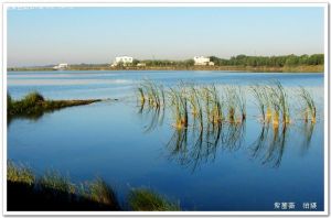 衡水湖濕地和鳥類保護區