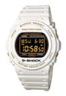 CASIO DW-5725B-7D