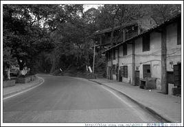 西山新村[江西省上饒市鄱陽縣凰崗鎮西山新村]