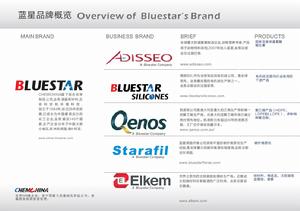 中國藍星（集團）股份有限公司