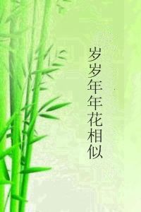 歲歲年年花相似