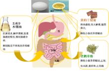 主要成分及藥效