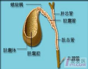 鞣酸小檗鹼