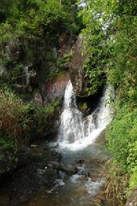 松陽卯山國家森林公園