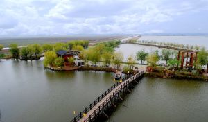 高郵湖蘆葦盪濕地公園