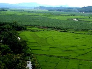 曼破村