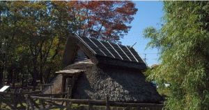 日本彌生時代的住屋，圖為登呂的居住遺址復原。