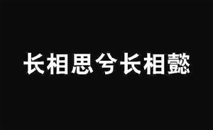 長相思兮長相懿