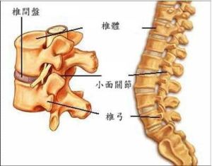 頸椎退行性變