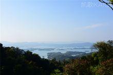 南山[河源市東源縣南山]