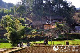 小河村[天津市靜海縣沿莊鎮小河村]