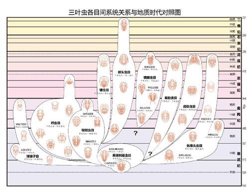 三葉蟲[遠古動物]