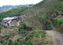 三岔河村[雲南省瀘水縣六庫鎮瓦姑村委會]