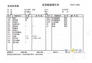 尿常規檢查報告單