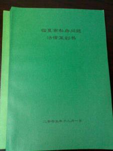 《臨夏市私房問題法律策劃書》