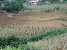 雲南省施甸縣萬興鄉大水村耕地