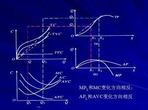 短期成本函式