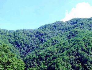 陳華坑村