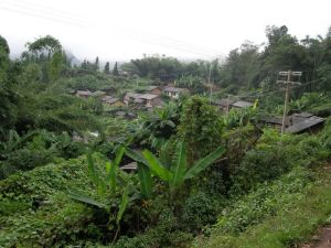 山岔河小寨村