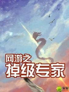 網遊之掉級專家