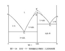 二元系統