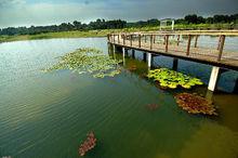 西沙濕地公園