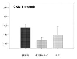 ICAM-1