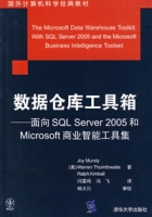 數據倉庫工具箱:面向SQLServer2005和Microsoft商業智慧型工具集