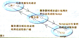 公共網關接口