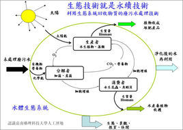 物質循環