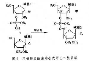 核酸的人工合成