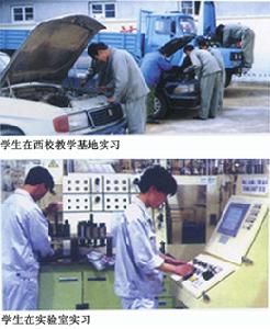 煙臺汽車工程職業學