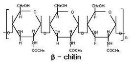 β-殼聚糖