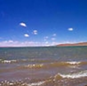 庫賽湖濕地