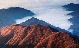 鳳凰山[陝西省安康市鳳凰山]