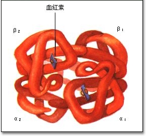 微血管病性溶血性貧血