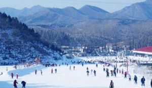 天津動物園滑雪場