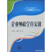 企業納稅全真實訓