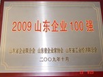 2009山東企業100強