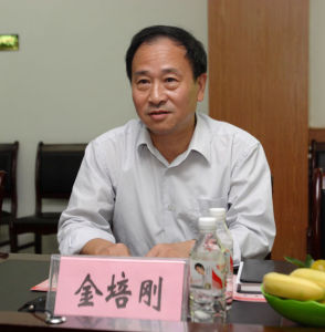 Jin Peigang
