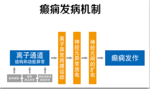 癲癇離子通道修復術