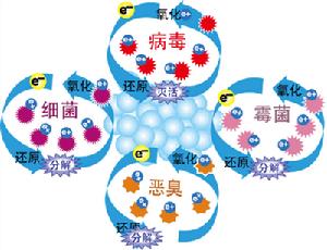 NRC納米碳粒子的氧化還原反應