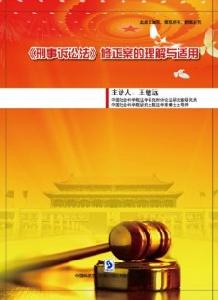 刑事訴訟法修正案理解與適用