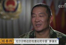 楊春輝[吐爾尕特邊防檢查站司令部原參謀長]