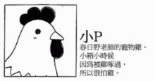 小P設定