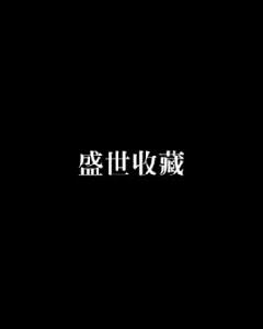 盛世收藏[網路小說]