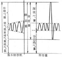 基本肺容積和肺容量圖解