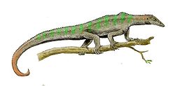 巨爪蜥（屬名：Megalancosaurus）是已滅絕爬行動物的一屬，生存於三疊紀晚期，化石發現於義大利北部的Preone山谷。巨爪蜥屬於鳥首龍目的鐮龍科，是研究最多的鐮龍科之一。巨爪蜥體長約25厘米，體型相當小。它們的外形類似變色龍，可能是樹棲動物。指爪具有抓握能力，前兩指可獨自運作，做出與其餘三指相對應的動作。它們的尾巴長，具纏握能力，尾端的數節脊椎癒合，形成奇特的勾狀物。肩膀上側有隆起部份，可能是強壯肌肉的附著點。某些標本的趾爪也具抓握能力。因為並非全部標本都具有這種關節，因此被認為是種兩性異形特徵，某能某種性別在求偶時需要更強的抓握能力。巨爪蜥化石時期： 晚三疊紀 PreЄЄOSDCPTJKPgN Megalancosaurus preonensis 保護狀況 化石 科學分類 界： 動物界 Animalia 門： 脊索動物門 Chordata 綱： 蜥形綱 Sauropsida 目： 鳥首龍目 Avicephala 科： 鐮龍科 Drepanosauridae 屬： 巨爪蜥屬 MegalancosaurusCalzavara, Muscio, & Wild, 1981  種 巨爪蜥 M. preonensis (模式種)Calzavara, Muscio, & Wild, 1981