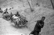 1942年河南大饑荒歷史照片